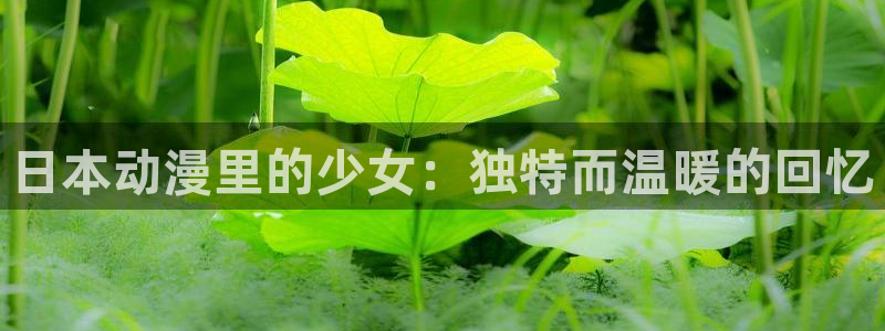 动漫岛x