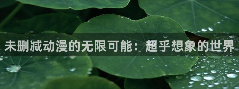 www.动漫岛